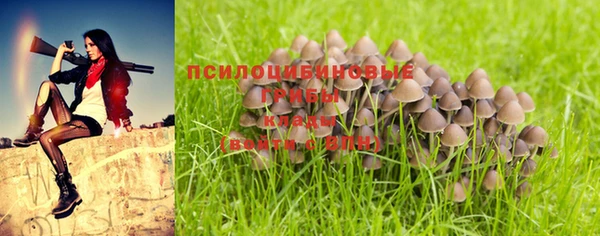 дживик Абаза